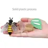 1 Box Animal Model Toy Frog Bee Panda Chick Butterfly Fish Plant Animal Figurines Life Cycle Learning Creative Kid Education Toy 4