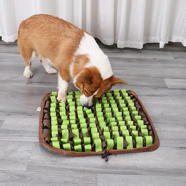 Polymères de reniflage de tortue pour chien, jouet de puzzle pour animal de  compagnie, jeu d'alimentation coule IQ, jouets agités et sonores, activité  de recherche de nourriture - AliExpress