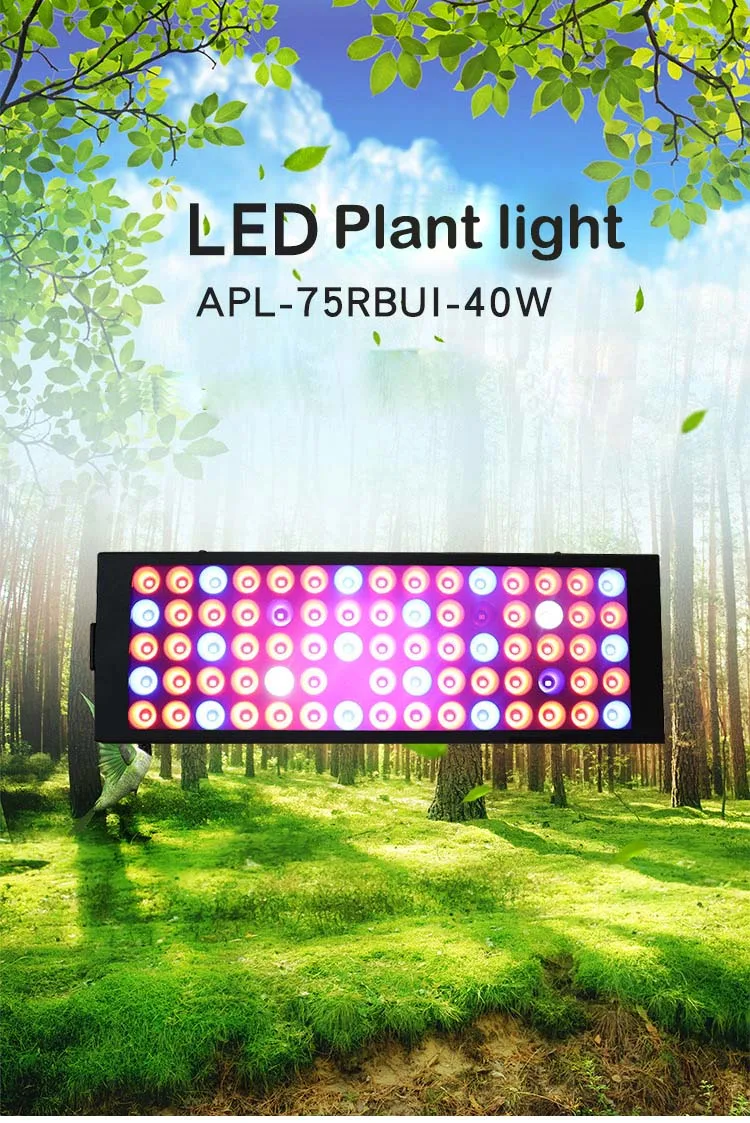 LED 식물 성장 조명 2835 패치, 풀 스펙트럼 식물 조명, 실내 온실 수족관 조명, 필 라이트, 75, 40W