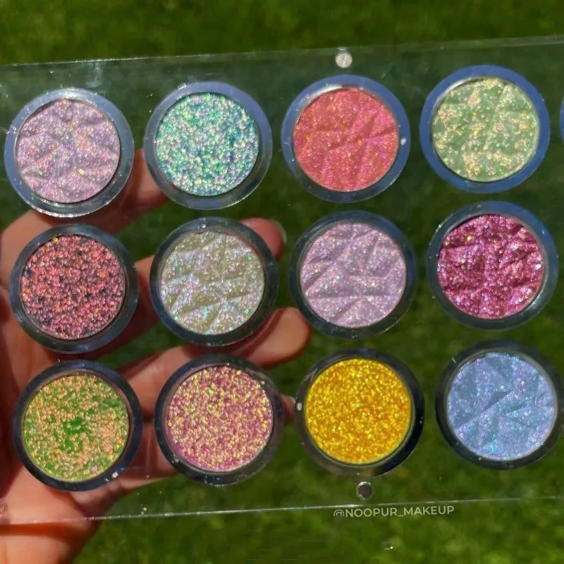 Shellwe Makeup Stray Birds Collectiodn Pressed Multichrome Flake Clear Eyeshadow Palette Duochrome