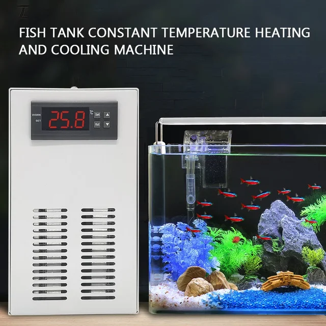 Refroidisseur d'aquarium domestique 20l, petit réfrigérateur électronique à semi-conducteur de corail à température constante 1