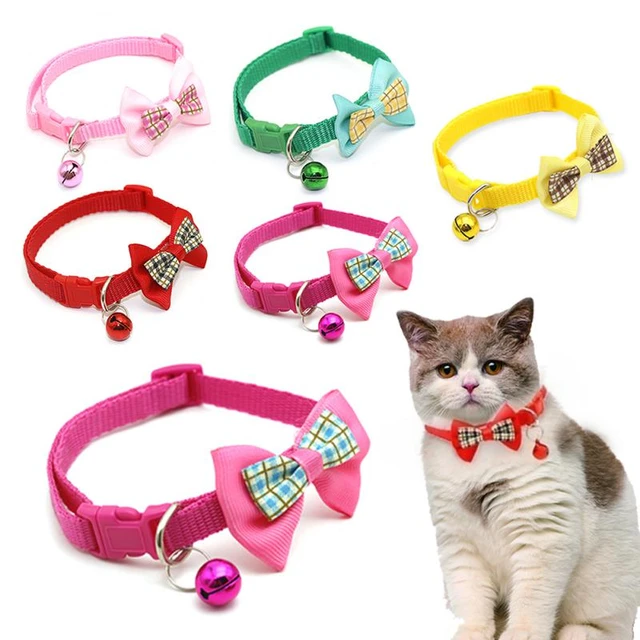 Cat Collar Camera - Colliers Et Laisses Pour Chats - AliExpress