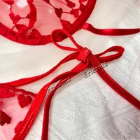 Ensembles de soutien-gorge sexy pour femmes, lingerie à bretelles, dentelle brodée, fée en forme de cœur, sous-vêtements sans couture, transparent, ensemble exotique, ensemble de soutien-gorge et slip 4