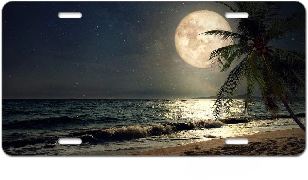 

License Plate Tropical Beach Palm Tree with Full Moon Starry Night Car Front License Plate Vanity Tag Metal Car Plate Aluminum
