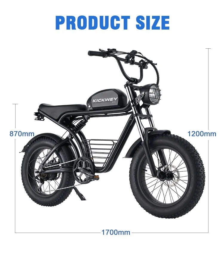 4.0Fat Electric Bike for Adults 4