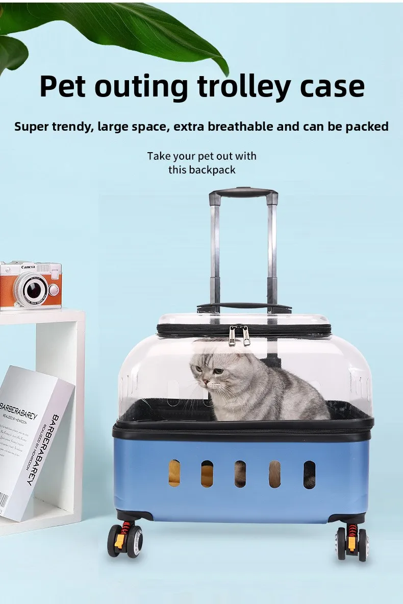 hmqViviiyNSAyin9WuaUt6TCFE25GdQIJezb