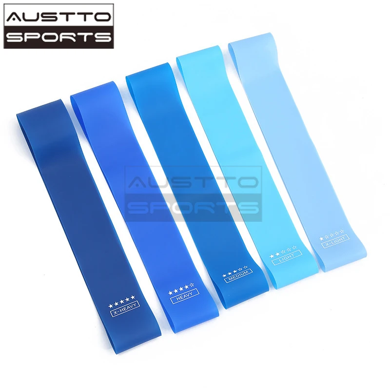 

Austto Blue Resistance Bands Exercise Workout Bands for Women Men Stretch Bands for Booty Legs, Pilates Flexbands