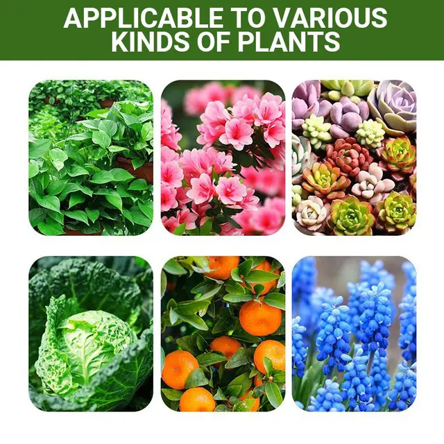 Különleges Csont Étkezés Organikus Műtrágya Elősegíti A Növekedési Virágok Műtrágyát - Image 4