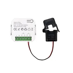 Smart WiFi Energy Clamp Meter with Buzzer Alarm and App Monitoring (1 Channel - 1CT)