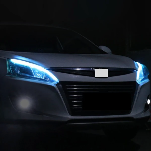 Vieruodis Led Lights Factory Direct Sales Store