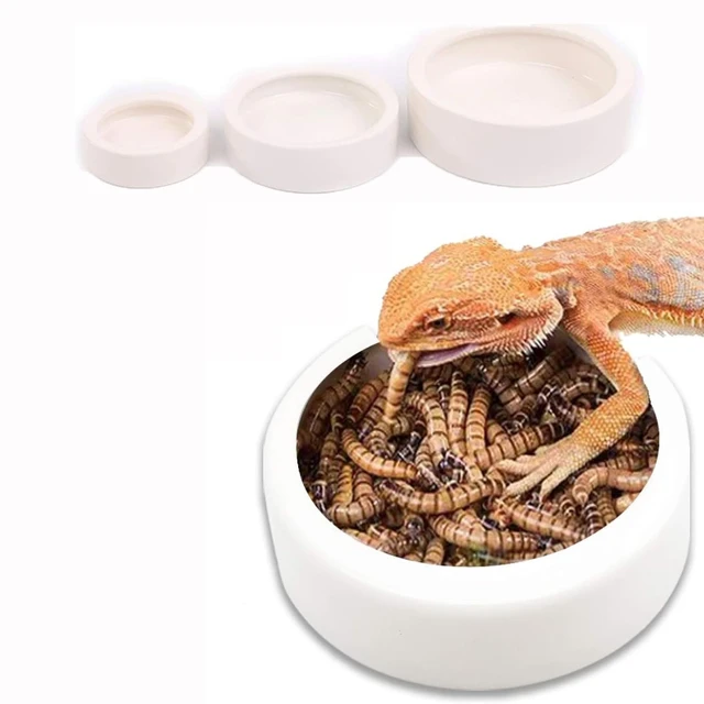 Reptile Water Food Bowl Anti-Escape Ceramic Feeder Dish for Lizard Hermit Gecko Chameleon Corn Snake Bearded Dragon Accessories Reptile Water Food Bowl Anti-Escape Ceramic Feeder Dish for Lizard Hermit Gecko Chameleon Corn Snake Bearded Dragon Accessories