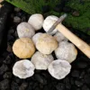 Natural Unopened Agate Geode Raw Crystals Mineral Energy Healing Rough Stones Crystal Cluster Cave Collection Specimen Gift 2