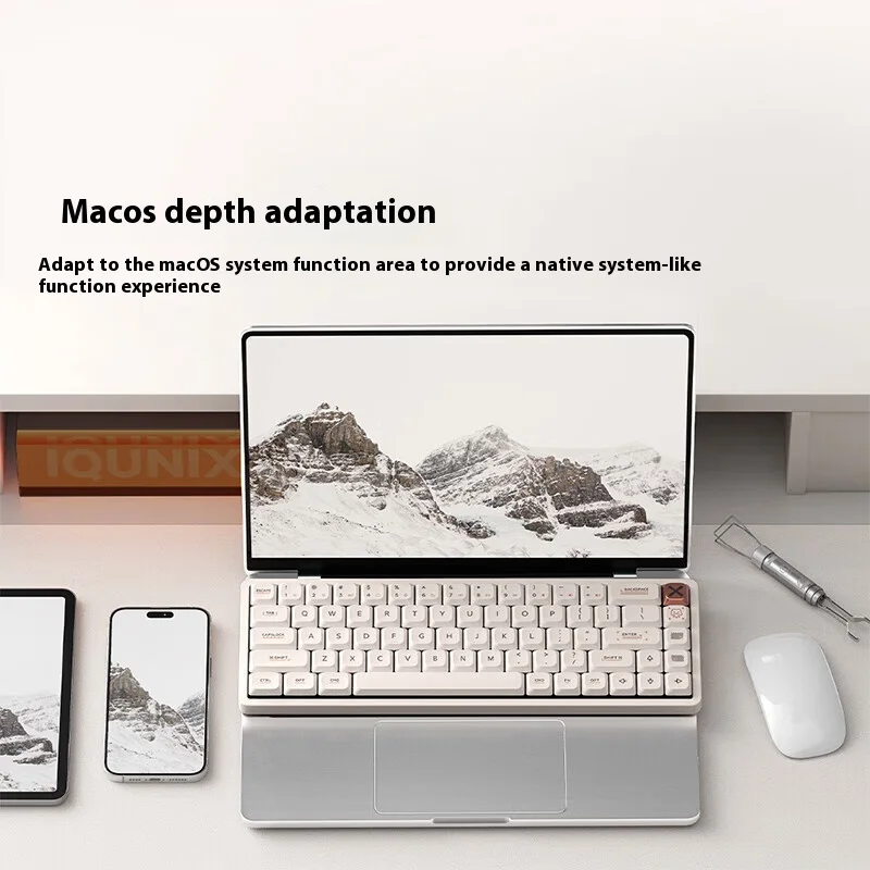 IQUNIX MG65PRO ロースイッチカスタマイズされたメカニカル