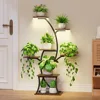 7 Tiered, 44" Corner, Metal, Curved Plant Holder Rack for Living Room, Patio, Balcony, Plant Shelves 1