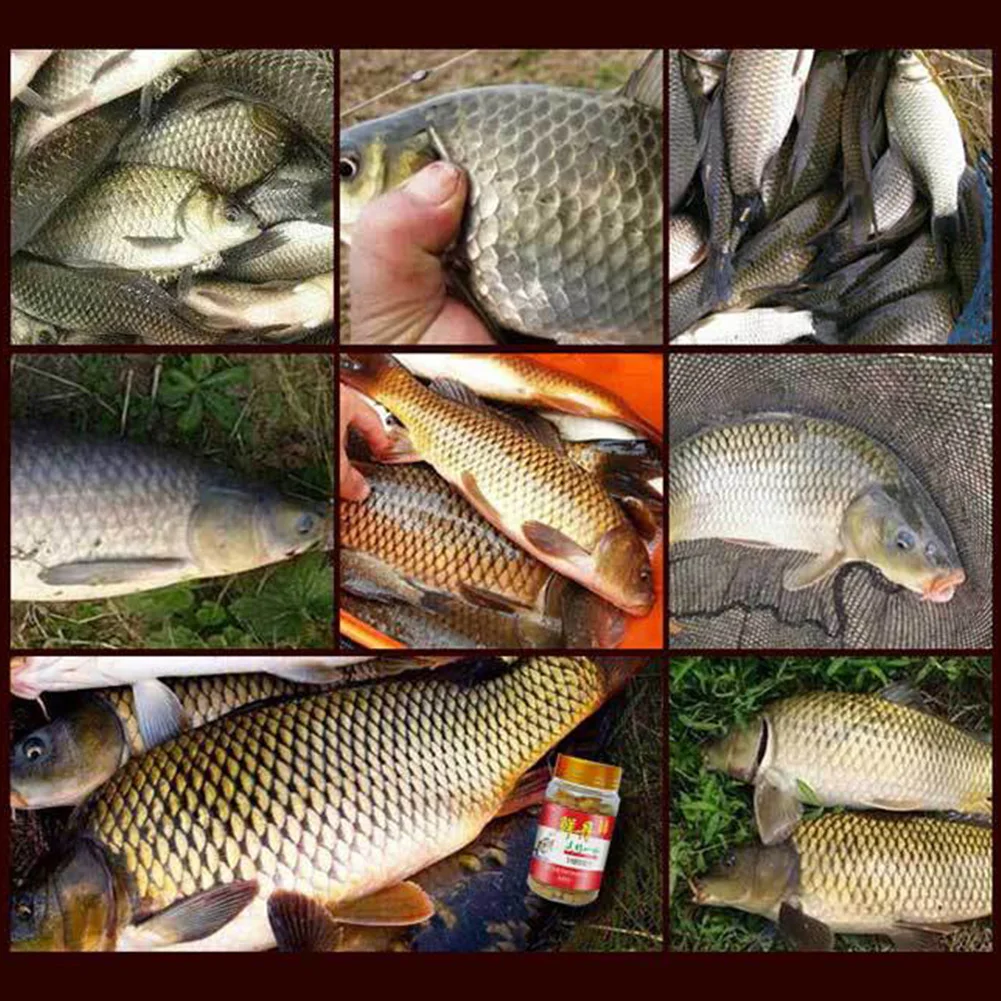 Description Picture 4 of itemBait Pellets Hanging Bait Freshwater Crucian Carp Grass Fish Bream Bait for Bass Trout Fishing Accessories