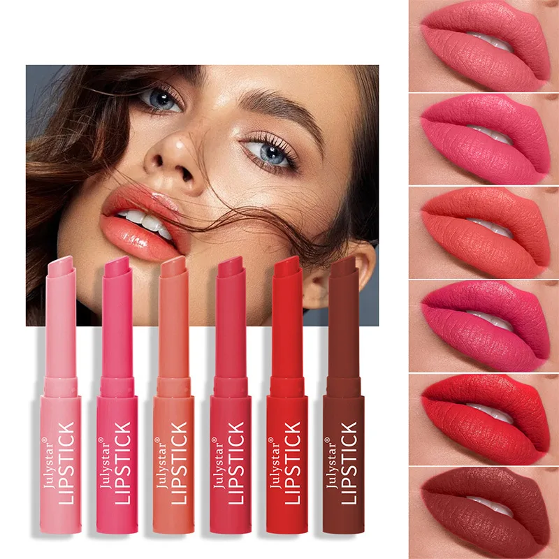 

6 Colors Velvet Matte Lipstick Beauty Cosmetics Lip Glaze Soft Mist Lipgloss Long Lasting Lips Makeup Lipstick Pen for Women