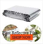 2/3/5 Gallon Garden Grow Bags Flower Vegetable Aeration Planting Pot Container Planter Pouch With Handles Grow Planting Bag