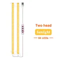 Sunlight 2 head