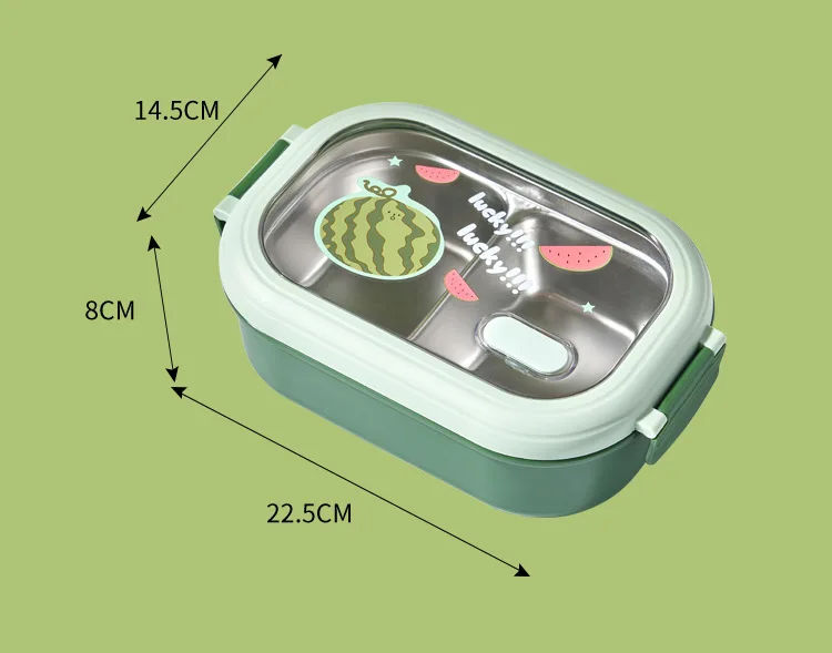 Compact Insulated Stainless Steel Lunch Canteen with Dividers
