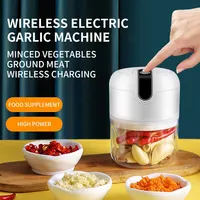Mini Electric Garlic Chopper 1