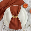 6PCS Terracotta