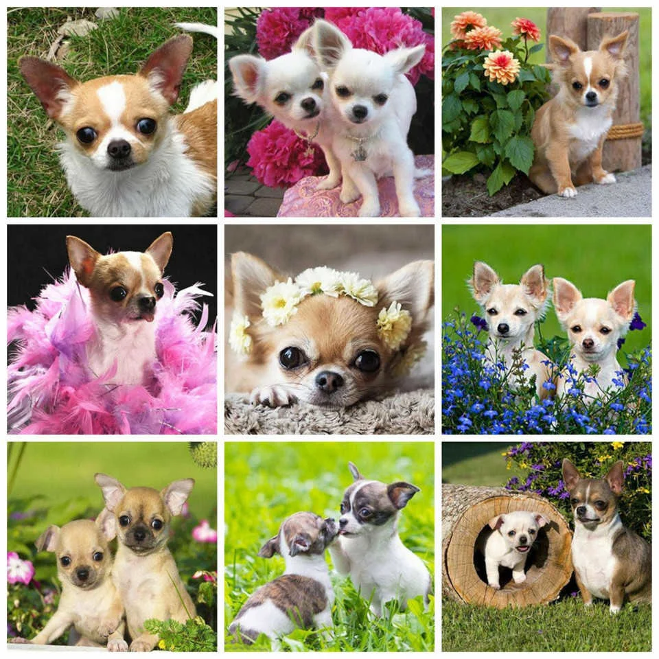 4- (13).jpg_.webp 4- (13).jpg_.webp