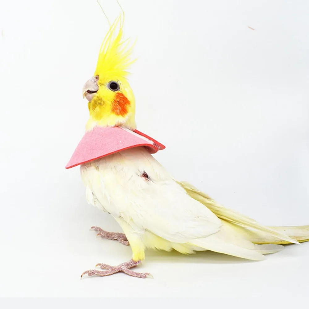

for Bird Neck Protective Bird Accessories Adjustable Bird Cloak Bird Recovery Collar Parrot Elizabethan Circle Bird Neck Sleeve