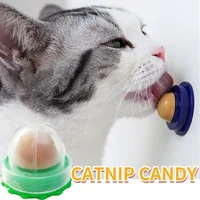 Nutrition Cat Catnip Ball Dust Cover Round Safe Catnip Snack Lick Candy Vitamin Pudding Catnip Lollipop For Cat Kitten Ragdoll 1