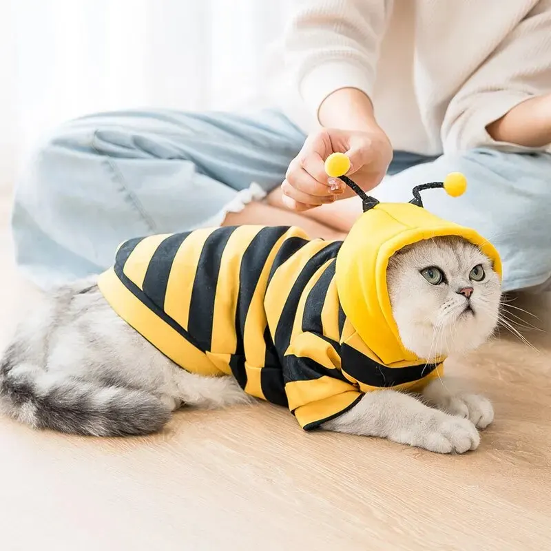 Bee Costume Pet Hoodie 3