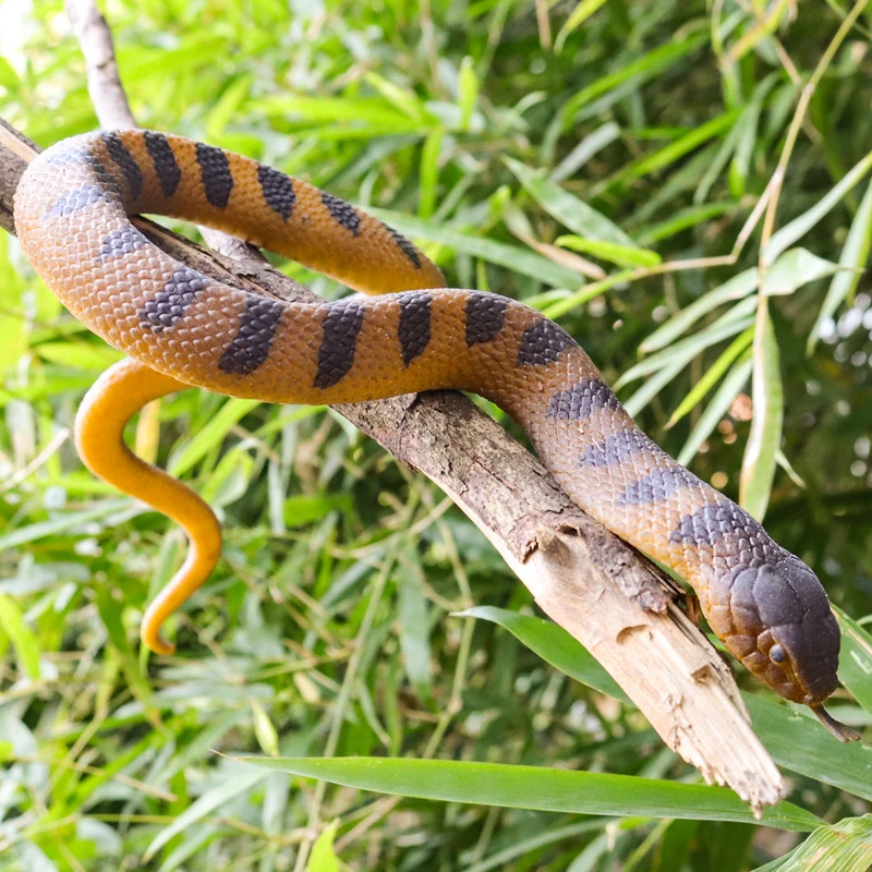 Oenux Forest Savage Snakes Animals TPR Rattlesnake Python Cobra Action Figures Lifelike Model Education Kids Toy Gift Prank toy