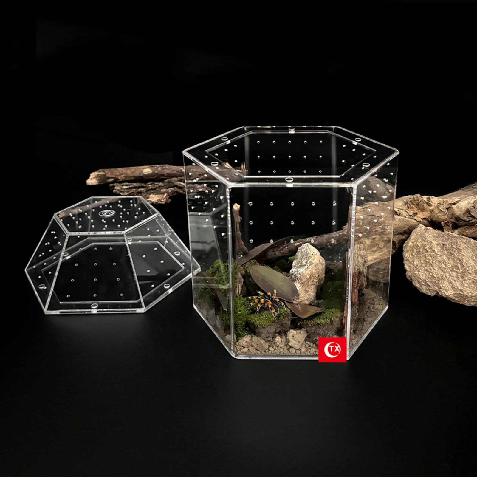 Jumping Spider Enclosure Acrylic Terrarium Habitat All-Side Ventilation Reptile Breeding Box Ventilated for Frog Cri