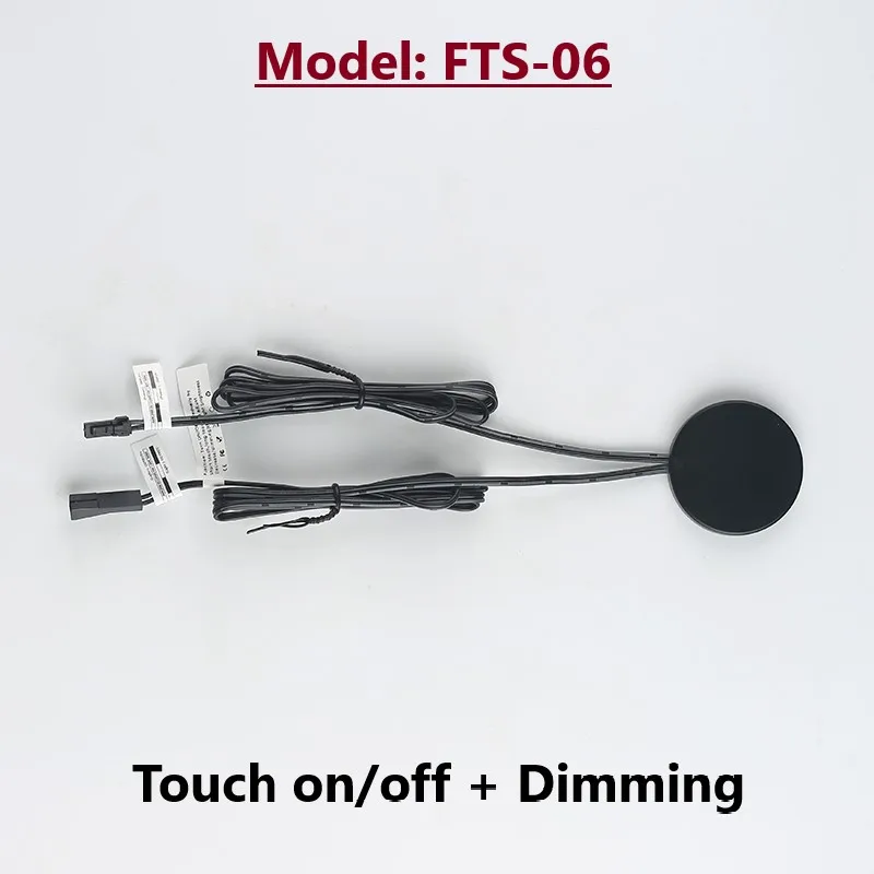 FTS-06