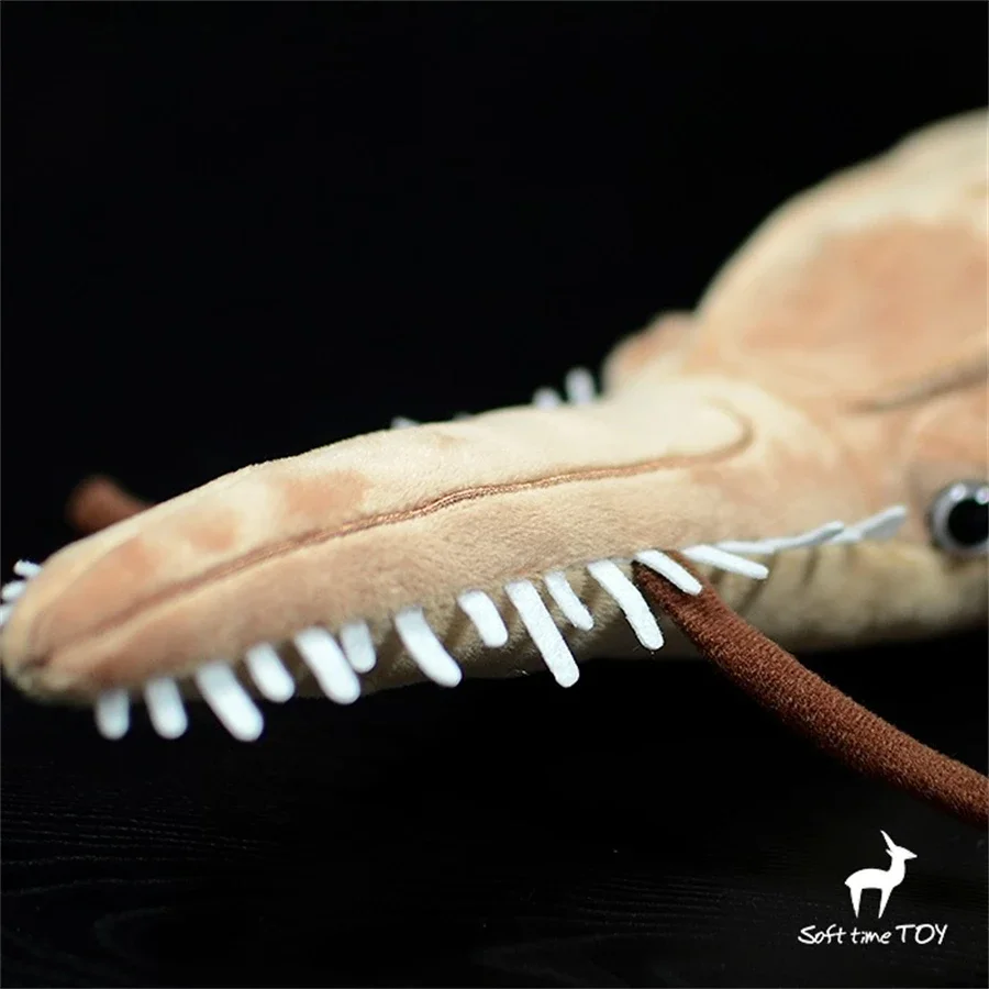 Pristiophorus Cirratus High Fidelity Anime Cute Plushie Saw Shark Plush Toys Lifelike Animals Simulation Stuffed Doll Kawai Toy 4