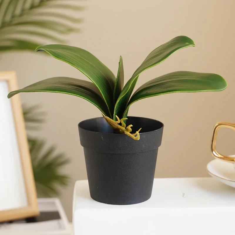 Piante Verdi Artificiali Fiori Phalaenopsis Leaf Cymbidium Leaf False Blossom Viburno Viburnum Laurustinus Bonsai