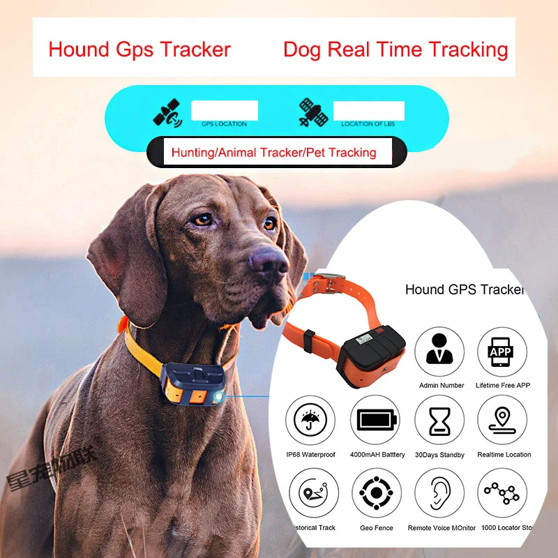 PetTrackerGpsCollarforDogsGpsTrackingAnimalRealTimeTracking
