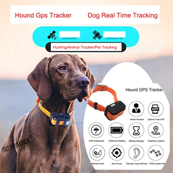Waterproof GPS Dog Tracker Collar 1