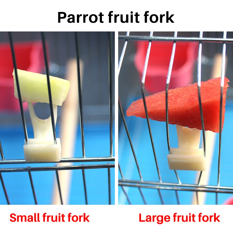Birds Parrots Fruit Forks 10Pcs automatic bird feeder Plastic Food Holder Feeding on Cage Bird Feeder Parrot Pet Bird Pet Supplies