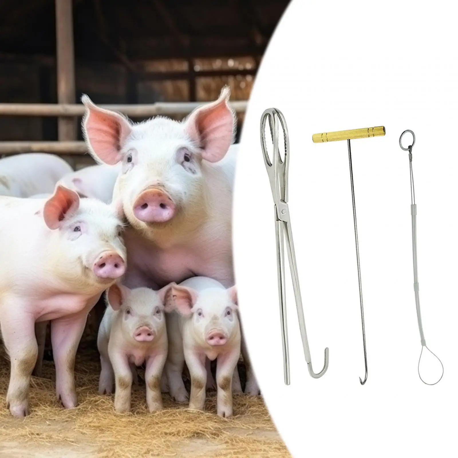 

Livestock Pig Midwifery Plier Hook Rope Tool U Shaped Hook Designed Set of 3 for Goat Cow Multifunctional Durable Accessories