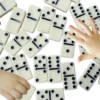 14PCS Double Six Domino Set Entertainment Leisure Travel Fun Table Game Domino Toy Children's Puzzle Toy Gift 3