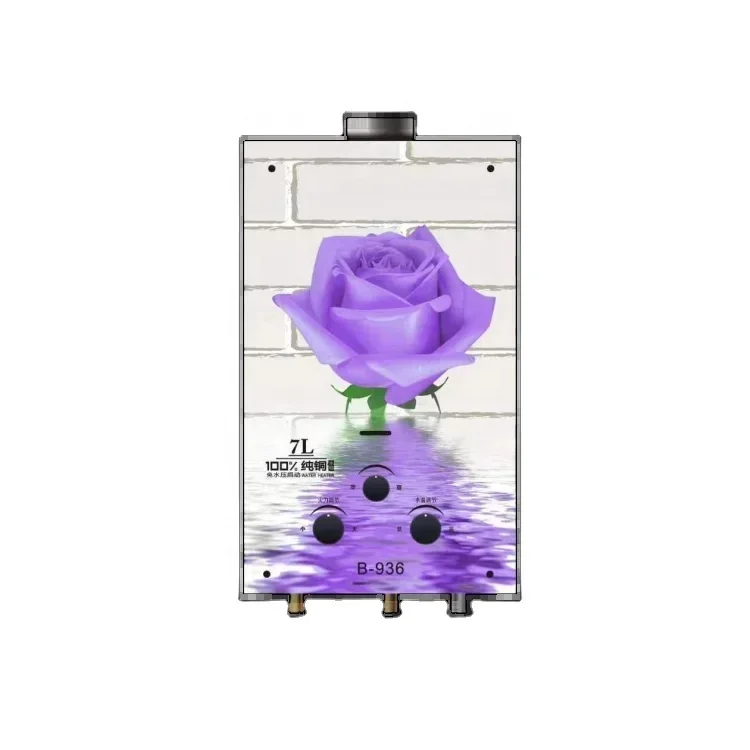 Winter Ice BathManufacturer Hot Sell Item Instant Tankless Type 6/7/8/10/12 Liter Instant Battery Ignition LPG Gas Geyser Water