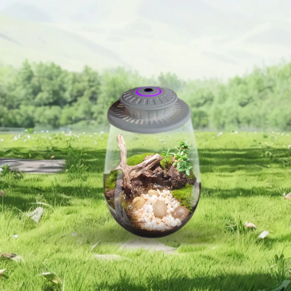 Terrarium en verre pour plantes avec lampe de croissance – Décoration moderne pour la maison et le bureau