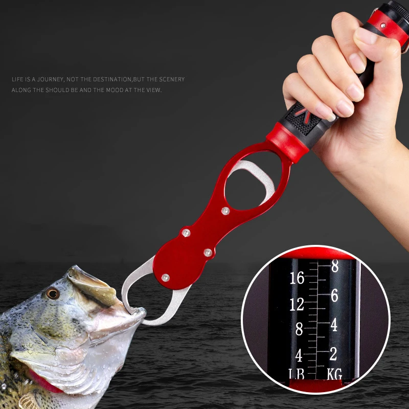 Pince de lippe portable pêche avec pèse-poisson intégré, grip en alliage d'aluminium pour saisir et peser le poisson
