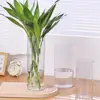 1Pcs Cylinder Flower Vase Shatterproof Plastic Vases Acrylic Hydroponic Home Decor Clear Large Tall Transparent Decorative Vase 2