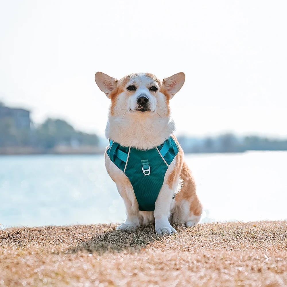 Harnesses Vest Pet Reflective Nylon Walking Running - PeticaDeals
