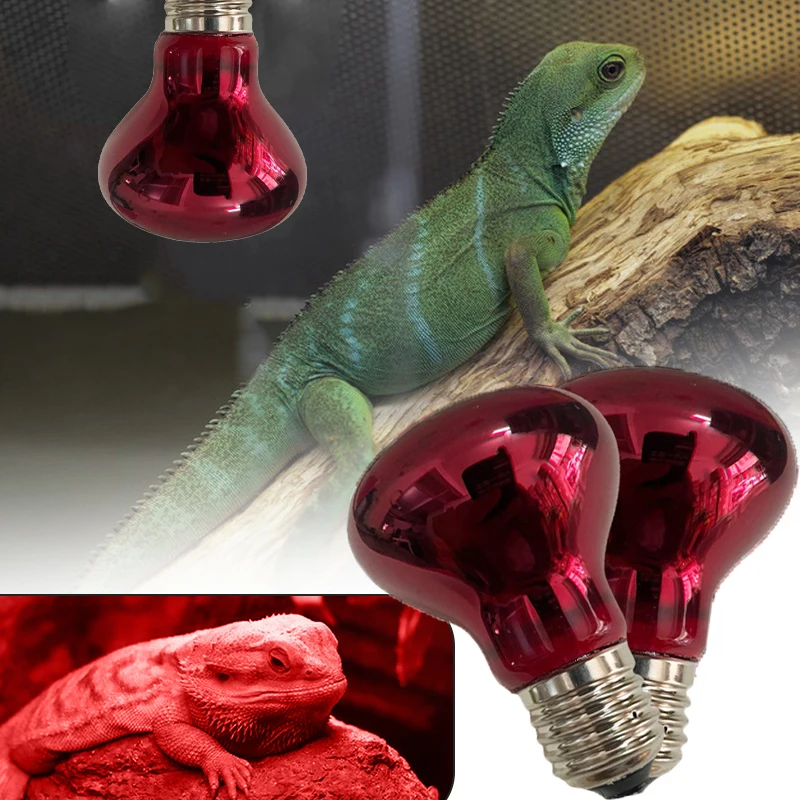 Pet Heating Lamp E27 Day Night Amphibian Snake Reptile Bulb UV Light 25W 50W 75W 100W AC220-240V