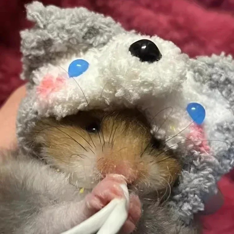 Pet Headgear Small Animal Clothes Hamster Golden Silk Bear Plush Cute Little Hat Photo Props Pure Hand Crocheted Pet Woolen Hat Winter Mini Pet Supplies