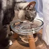1pcs Cat Bowl Dog Bowl Elevated Pet Feeder with Neck Protection Plastic Water Basin for Cats Dogs Non-Slip Pet Food Dish 5