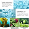 VIBRANT GLAMOR Hyaluronic Acid Facial Serum  Skin Care 10PCS 5