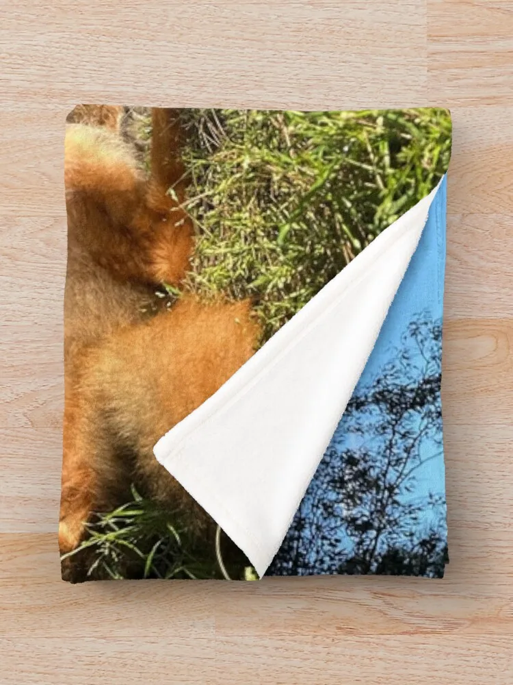 �¾��� ��ġ�� ���, ��ũ�� ���