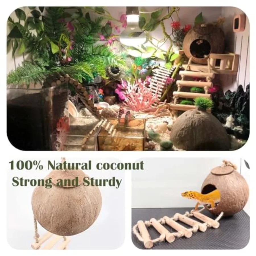 Crested Gecko Tank Set 2